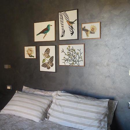 B&B La Casetta Dei Nonni Orvieto Buitenkant foto