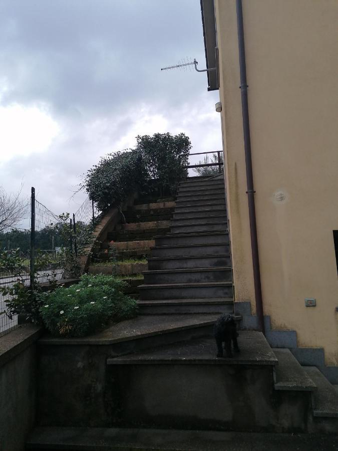 B&B La Casetta Dei Nonni Orvieto Buitenkant foto