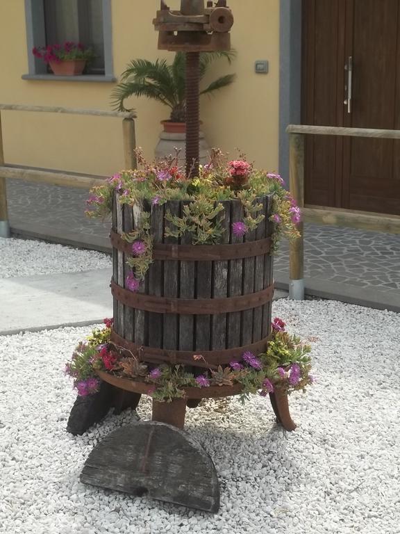 B&B La Casetta Dei Nonni Orvieto Kamer foto