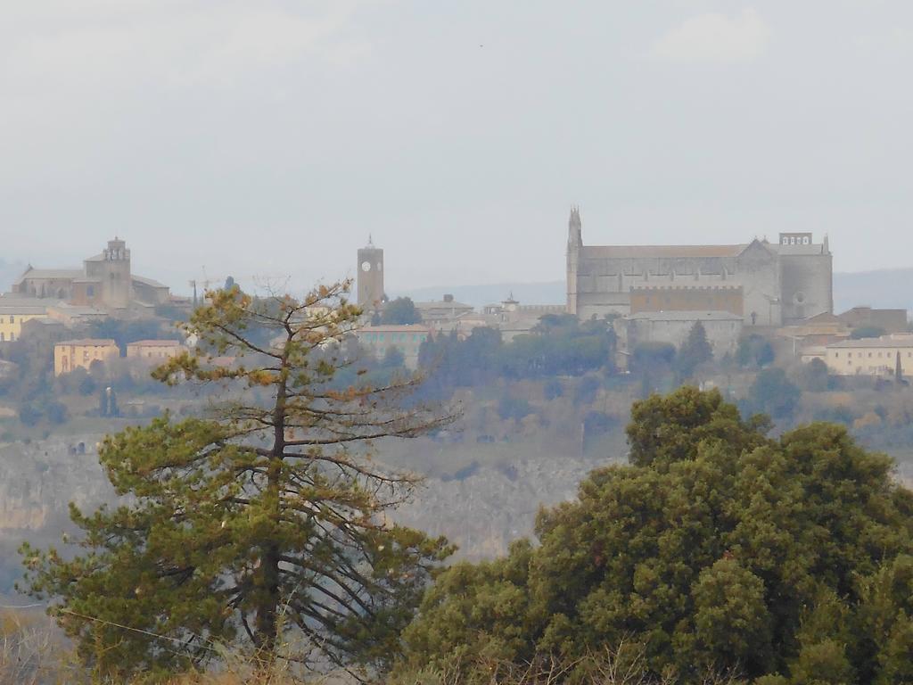 B&B La Casetta Dei Nonni Orvieto Buitenkant foto