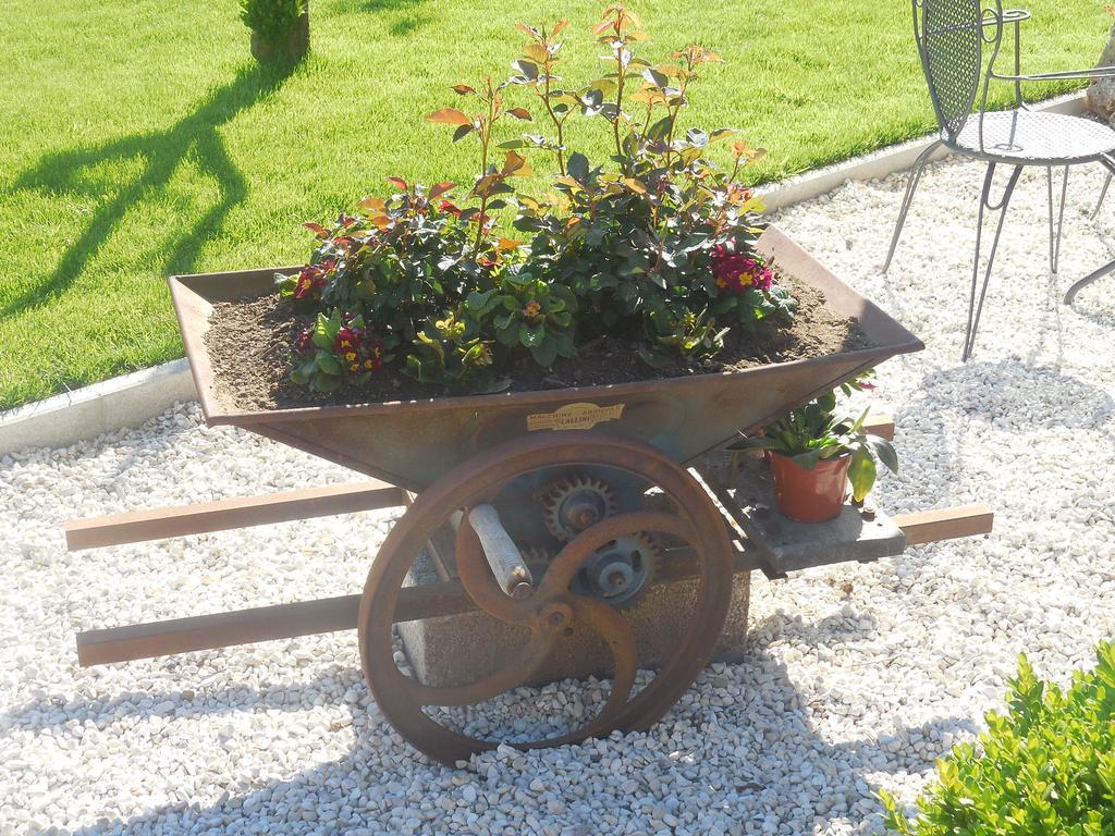 B&B La Casetta Dei Nonni Orvieto Buitenkant foto