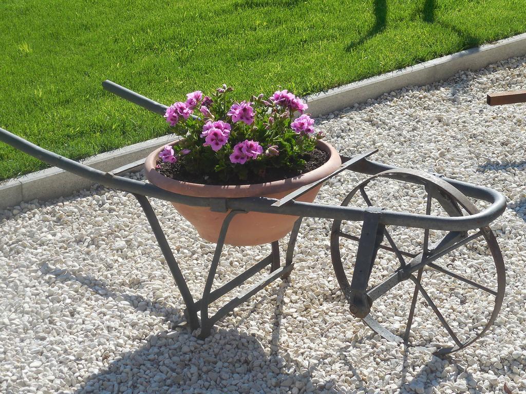B&B La Casetta Dei Nonni Orvieto Buitenkant foto